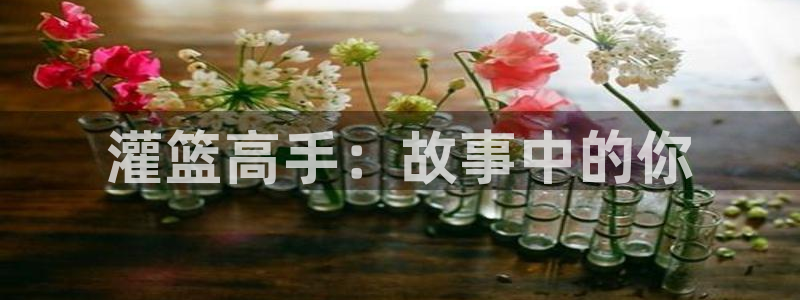 漫蛙漫画网址免费进入：灌篮高手：故事中的你